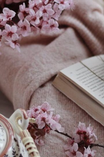 book and cup of tea in cozy room