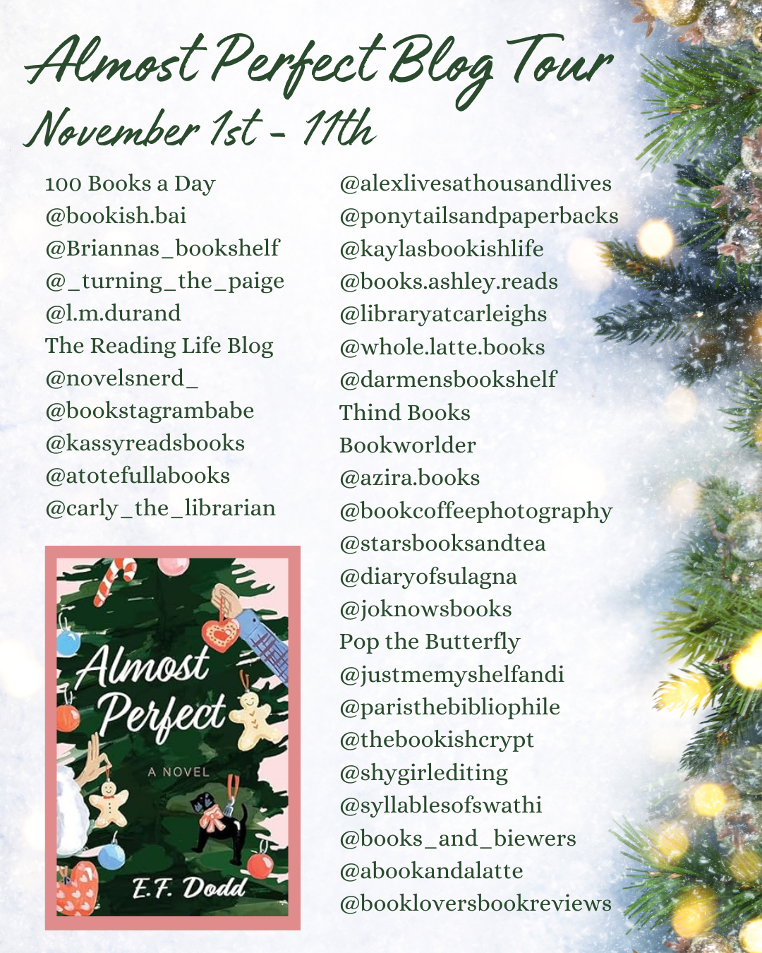 Almost Perfect Store Blog Tour: Almost Perfect by E.F. Dodd Book Spotlight - The Reading Life